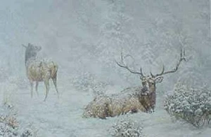 WINTER - ELK - JORGE MAYOL - LTD ED PRINT - Picture 1 of 1