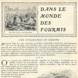 Dans le monde des fourmis - - Article de presse 1904 - Picture 1 of 4