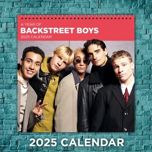 Backstreet Boys Calendario 2025, Backstreet Boys Celebrity 2025 Calendario da parete - Foto 1 di 4