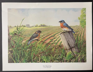 Art Signed, Wisconsin Artist, Limited Edition,Birds, Deb Zimmerman, Bluebird - Picture 1 of 5
