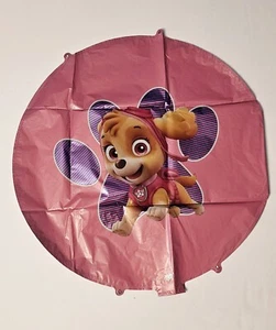 Paw Patrol Sky Mylar Balloon Set - Picture 1 of 4