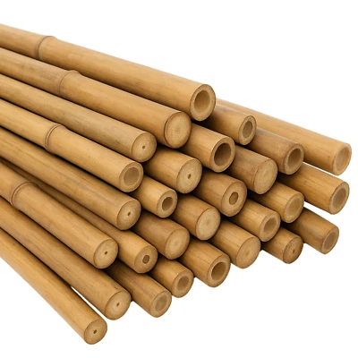 6FT  BAMBOO GARDEN CANES STRONG HEAVY DUTY THICK GOOD QUALITY PLANT SUPPORT CANE - Image 1 of 4
