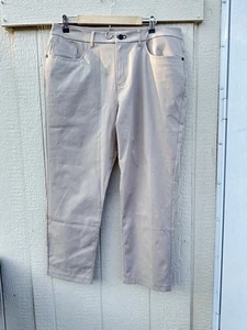 Public Rec Pants Mens 36X28 Gray Workday Chino Tech Slim Straight 5 Pockets NWOT - Picture 1 of 12