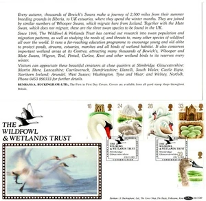 Benham First Day Cover The Wildfowl & Wetlands Trust Berwicks Swans BLCS80 - Picture 1 of 1