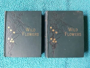 Wild Flowers, Anne Pratt, 2 vol set, Vol 1 & 2, First & Second Series SPCK, 1905 - Picture 1 of 24