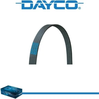 Cinturón serpentino Dayco Poly Rib para Oldsmobile Cutlass Supreme 1985-1987 V8-5,0 L Foto 1 de 4