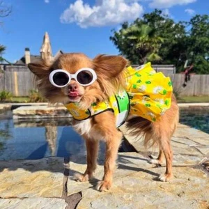 Vestido para perro Doggie Design chinches y margaritas con correa a juego XS-S-M-L-XL - Imagen 1 de 6