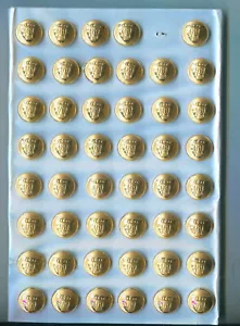Knopf Schweden 14mm vergoldet Musterplatte mit 48 Knöpfen (23-1) - Bild 1 von 4