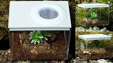 Praying mantis, Stick Insect,Tarantula ,Insect Box Tub Vented NEW STYLE 