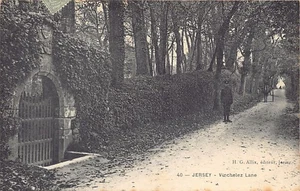 Trikot - Vinchelez Lane - Publ. H. G. Allix 40 - Bild 1 von 2