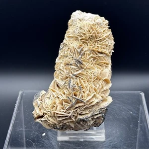 CALIZA PSEUDOMORFA YESO - Renedo, Valladolid - SPAIN MINERAL 11x6x5cms K7 - Imagen 1 de 5