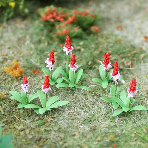 Free Shipping 160 Primula Vialii 1/2 inches Tall # 70036 - Image 1 of 1