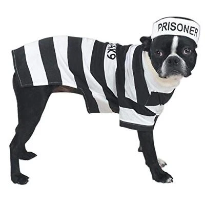 Black White Striped Pet Shirt with Matching Hat XL Easy On Off Pullover - Image 1 of 4