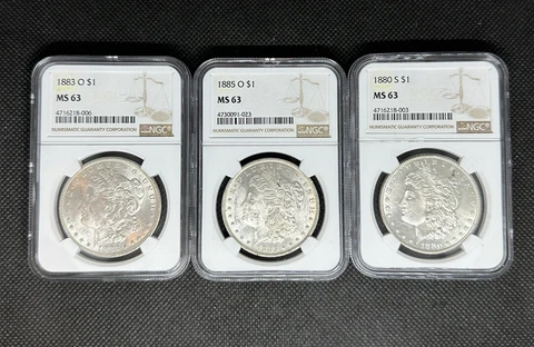 Lot 3 Different Date Morgan $1 MS 63 NGC 1880-S, 1883-O, 1885-O Cover