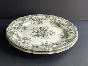 Portugal Zara Home Ceramic Dinner Plate 10 3/4” Green Floral Set Of 2 - Picture 1 of 4