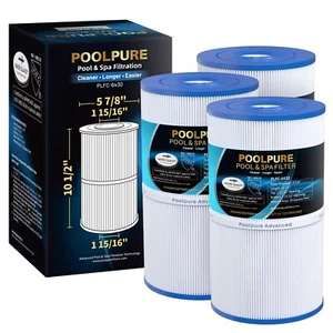 Filtro Spa POOLPURE C-6430 sostituisce Watkins 31489, Pleatco PWK30, Filbur FC-3915 - Foto 1 di 8