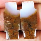 (11 X 25 x 3 MM) 21.65 Cts. NATURAL DENDRITIC AGATE PAIR CABOCHON LOOSE GEMSTONE