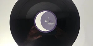 12" Vinyl Record Wagon Cookin' – Moonstreams Deep House Tech Garage DJ Club EDM - Picture 1 of 11