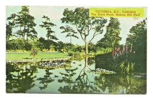 Canadian - The Duck Pond Beacon Hill Park Victoria BC Colour Photo Post Card - Bild 1 von 2