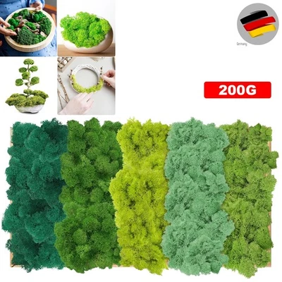 Islandmoos 5 Farben. Konserviertes Künstliches Moos zum Basteln und Modellbau - Bild 1 von 4