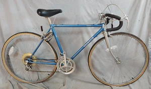 1974 Quentin 1000LX Vintage Touring Road Bike 54cm Small Lugged Steel US Shipper - Picture 1 of 19
