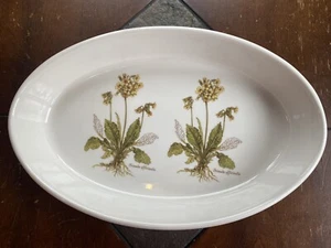 Vintage Oval Baking Dish Primrose Casserole Dish Baker Portmeirion Pottery - Picture 1 of 12