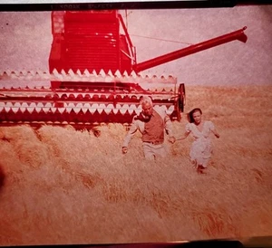 Foto trasparenza 1970 Prime Cut Lee Marvin Sissy Spacek Cinema Center Film - Foto 1 di 5