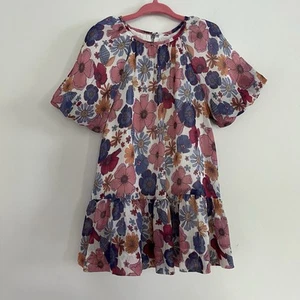 Vestido Zara Rosa Tule Floral Campesino Boho Talla 18 24 Meses Primavera Forrado Algodón - Imagen 1 de 8