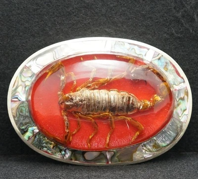 WF07111 SWEET VINTAGE 1970s **SCORPION** INSECT FASHION MENS ABALONE BELT BUCKLE - Image 1 of 2