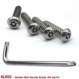 VK VL VN VP VS VT VX VY VZ VE VF STAINLESS STEEL NUMBER PLATE SECURITY SCREWS - Bild 1 von 1