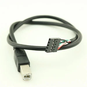 USB 2.0 Type B Male to Dupont 5 Pin Female PCB Header Motherboard Adapter Cable - Picture 1 of 13