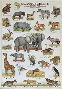 Savannah Wildlife Vintage Hobby Poster 27 x 39 - Bild 1 von 1