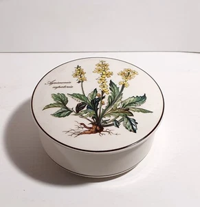 Villeroy & Boch Deckeldose V&B Botanica Dose mit Deckel Depius 1748 Bonbonniere - Bild 1 von 4