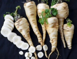 Harris Model Parsnip 100 - 4000 Seeds Heirloom Early good storage Hardy Nutty - Picture 1 of 4