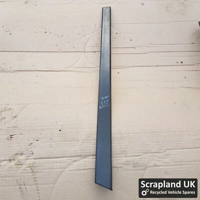 BMW 525i E39 SE 1996-2004 NSR borde molde puerta 8184479 Foto 1 de 4