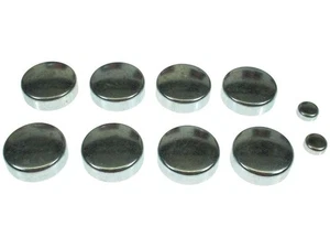 Expansion Plug Kit 89HQBT76 for Concorde Dynasty Imperial Intrepid New Yorker - Picture 1 of 1