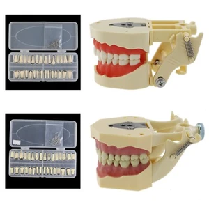 Poste de montaje restaurador dental Frasaco AG3 ANA-4 modelo 28 32 dientes - Imagen 1 de 71