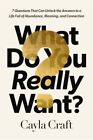 What Do You Really Want? : Seven Questions That Can Unlock the Answers to a L...