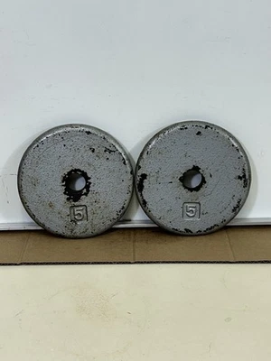Pair Of 5 Pound Standard 1 Inch Hole Barbell Dumbbell  Weight Plates Gray Used - Image 1 of 4
