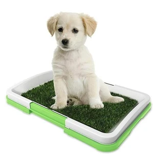 LETTIERA PER CANI CON ERBA SINTETICA RIUTILIZZABILE DA 47X34X6 CM TAPPETINO CANI - Foto 1 di 12
