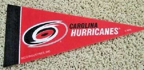 Carolina Hurricanes NHL Felt Pennant 4" x 9" Mini Banner Flag Souvenir NEW Cover