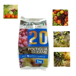 POLTIGLIA DI RAME 20% (SOLFATO DI RAME NEUTRALIZZATO) CONCIME CE BIOLOGICA 1 KG - Foto 1 di 2