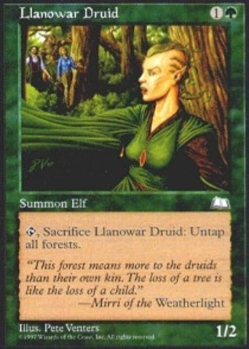 Llanowar Druid - Weatherlight # MTG Magic The Gathering - Image 1 of 1