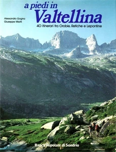 Gogna,Alessandro. - A piedi in Valtellina. 40 itinerari fra Orobie, Retiche e Le - Imagen 1 de 1