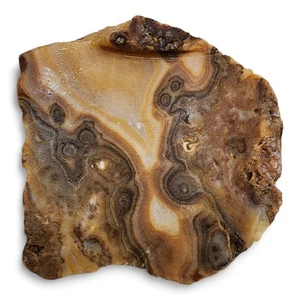 Lace Agate Rough Stone 392.1 grams. - Picture 1 of 6