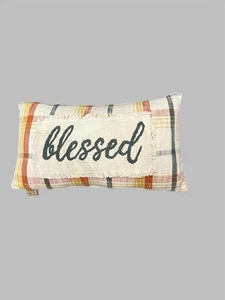 Almohada a cuadros Devi Designs Blessing 24” X 13” flecos bordados nueva con etiquetas - Imagen 1 de 3