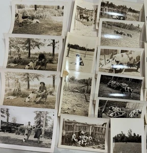 Lotto 30 antiche foto istantanee vintage 1920, 1930 agricoltura, pesca, campeggio - Foto 1 di 11