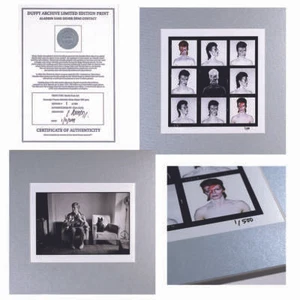 David Bowie - Aladdin Sane 45th Limited Edition Silver Print Collection Official - Bild 1 von 8