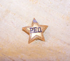 NICE PEO / Philanthropic Educational Organization fraternal star pin badge 1983