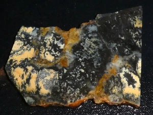 Dendtritic Opal 3 3/4 " x 3"-rough -cabbing-display--NEW - Picture 1 of 3